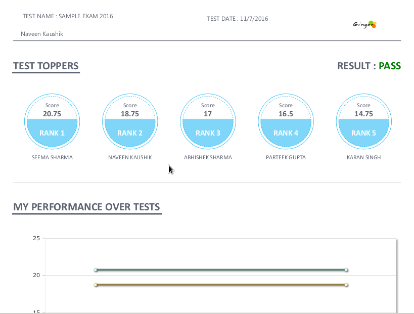 Individual Performance Report